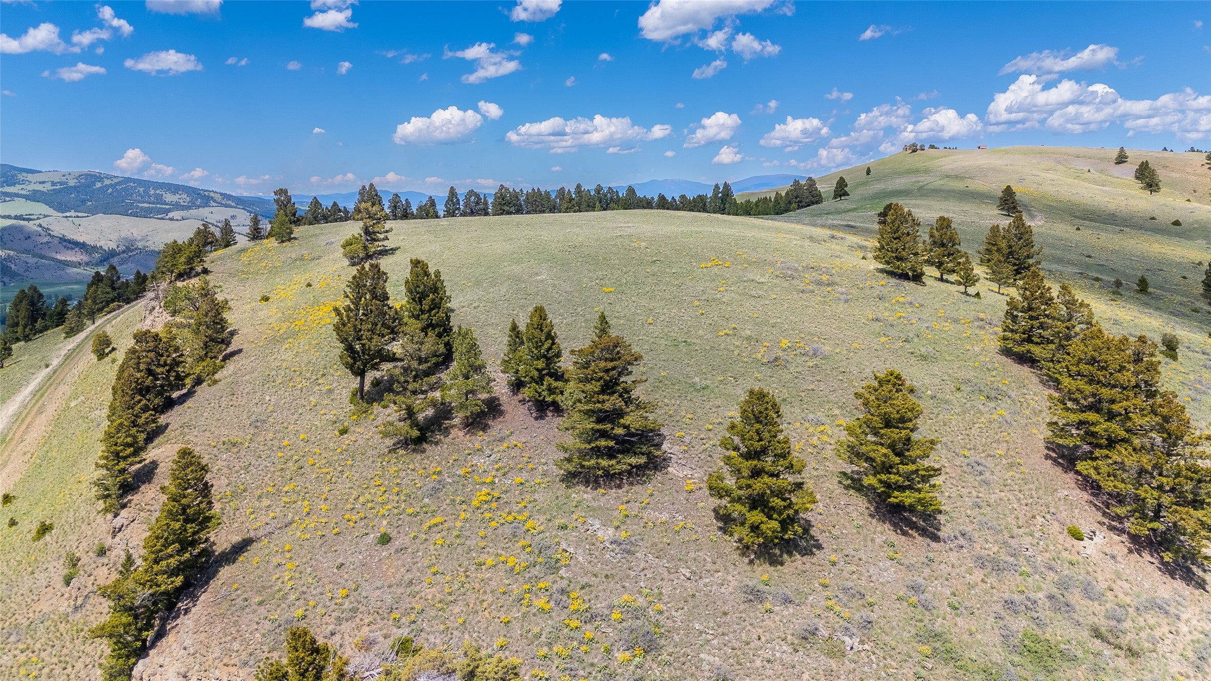 Tbd Lot 52 Tbd Road Helmville, MT 59843 - Photo 7 of 41 Gallery Image 7