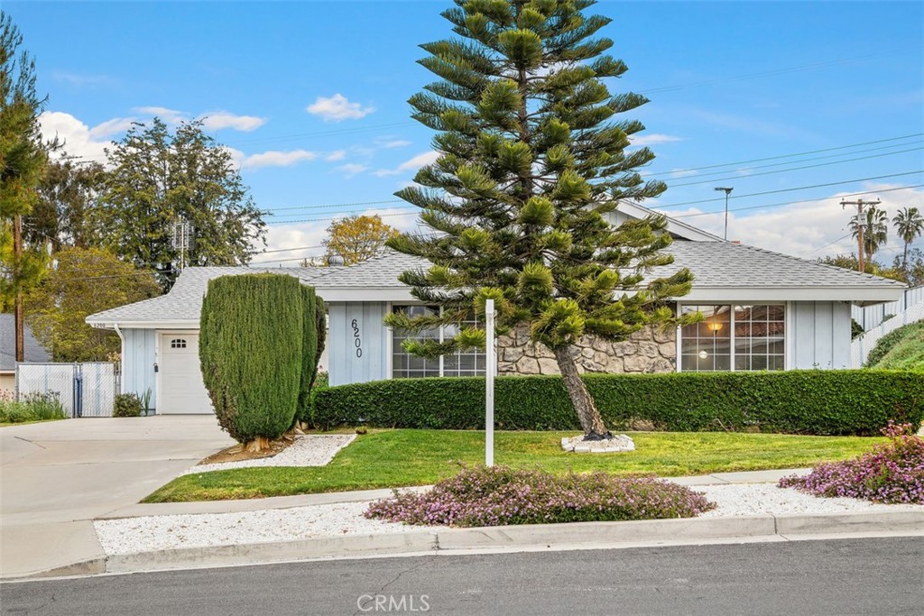 a view of a yard in front of a house