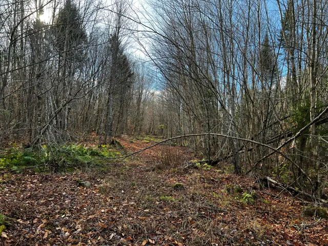 $49,900 | 39-4 Fire Road, Linneus, ME 04730