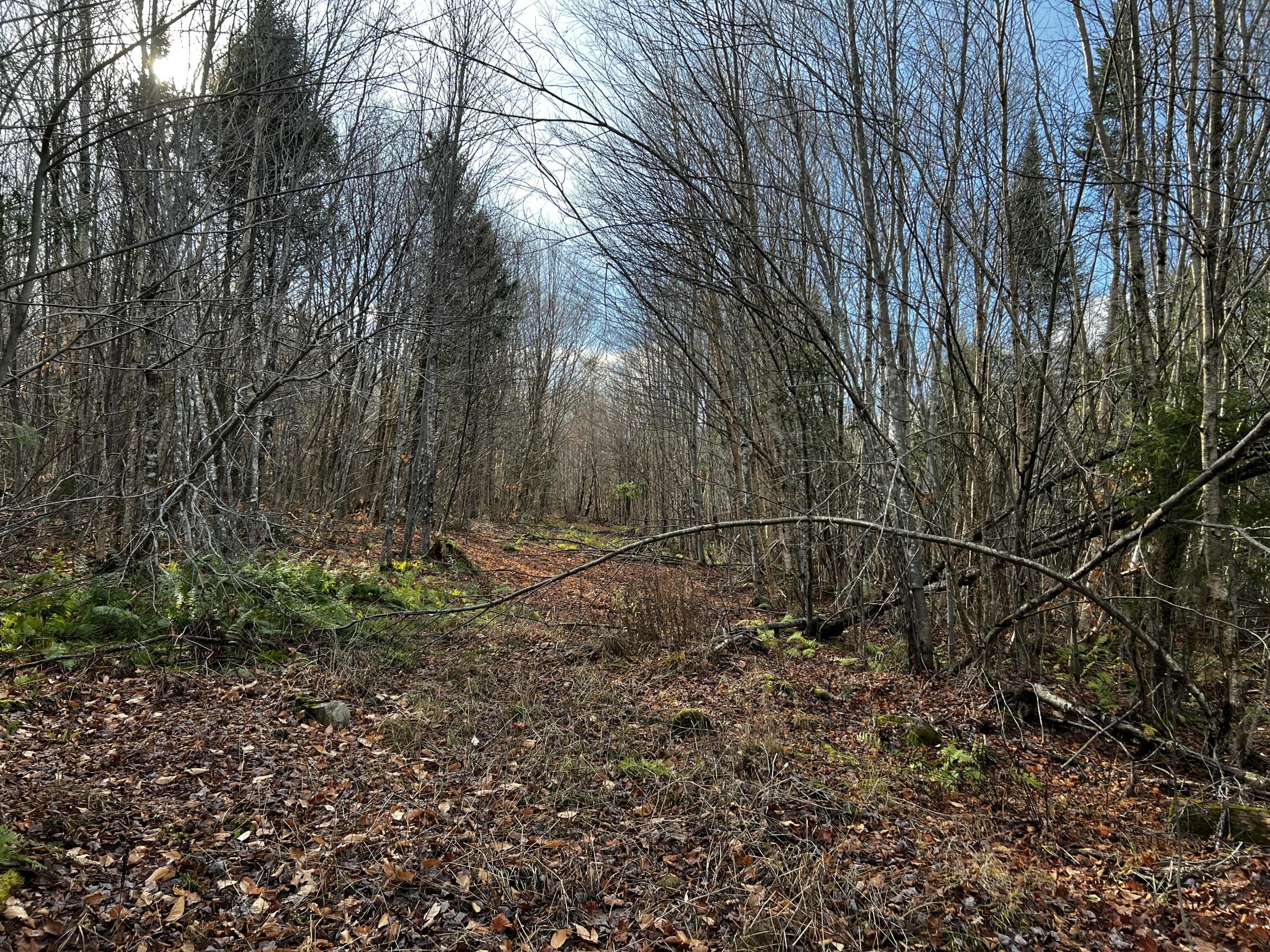 39-4 Fire Road Linneus, ME 04730 - Photo 9 of 11 IMG_0700