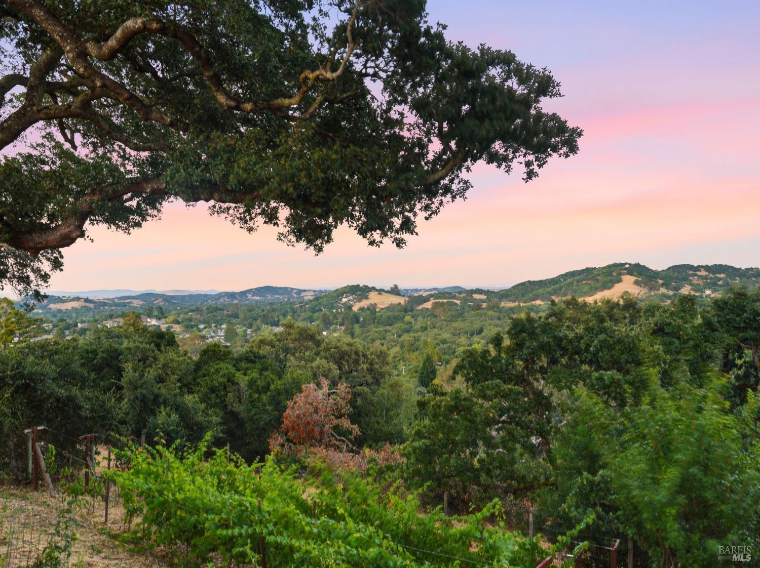 31 Roca Court Novato, CA 94947 - Photo 52 of 55