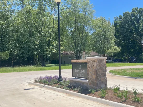 a view of a park with large trees