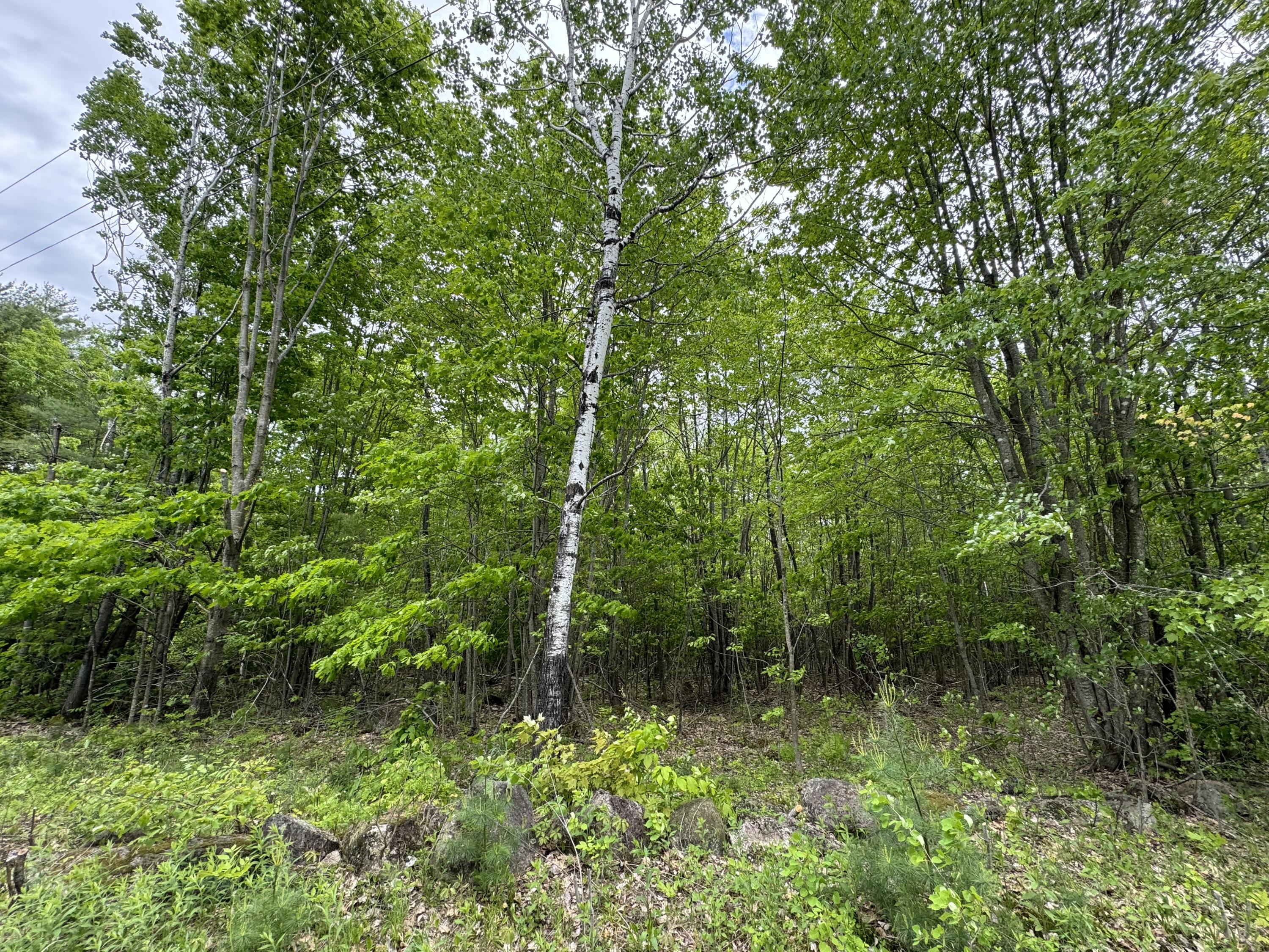 43 North Road Bridgton, ME 04009 - Photo 6 of 10 IMG_5948
