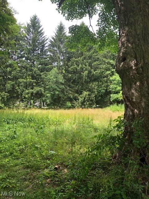 Vl Wilson Mills Road Chardon, OH 44024 - Photo 15 of 15