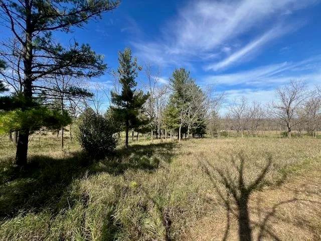 $90,000 | Lot 9 Highway 39, New Glarus, WI 53574