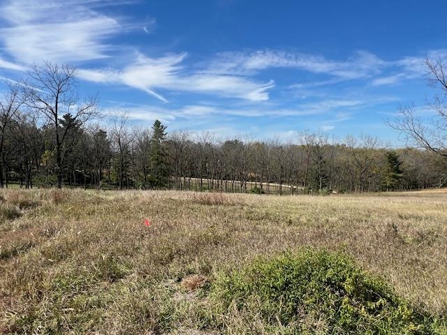 Lot 9 Highway 39 Blanchardville Wi 53574 New Glarus, WI 53574 - Photo 13 of 16