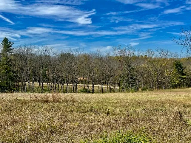 $90,000 | Lot 9 Highway 39, New Glarus, WI 53574