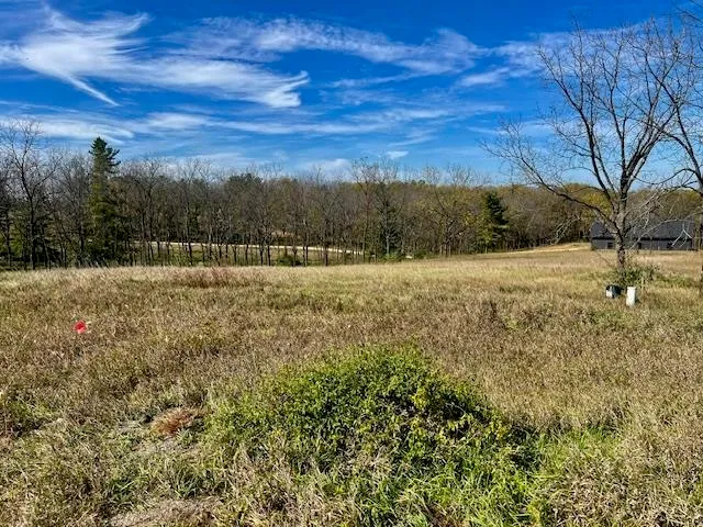 $90,000 | Lot 9 Highway 39, New Glarus, WI 53574