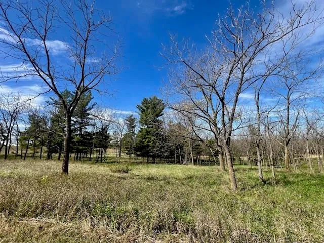 $90,000 | Lot 9 Highway 39, New Glarus, WI 53574
