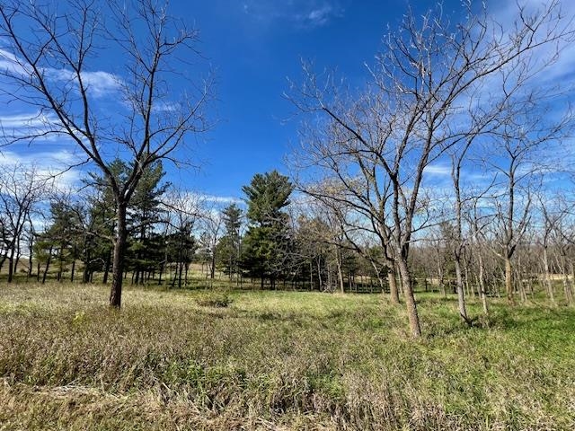 Lot 9 Highway 39 Blanchardville Wi 53574 New Glarus, WI 53574 - Photo 16 of 16