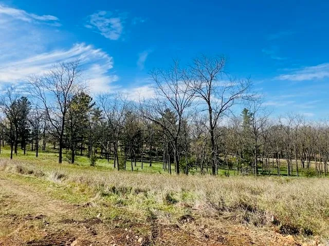 $90,000 | Lot 9 Highway 39, New Glarus, WI 53574