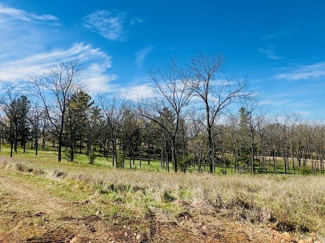 Lot 9 Highway 39 Blanchardville Wi 53574 New Glarus, WI 53574 - Photo 3 of 16