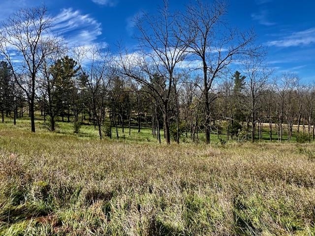 Lot 9 Highway 39 Blanchardville Wi 53574 New Glarus, WI 53574 - Photo 4 of 16