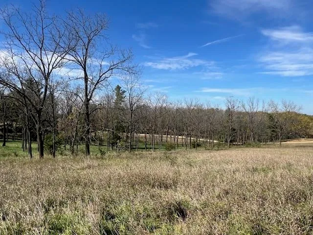 $90,000 | Lot 9 Highway 39, New Glarus, WI 53574