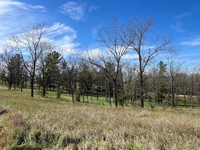 Lot 9 Highway 39 Blanchardville Wi 53574 New Glarus, WI 53574 - Photo 6 of 16