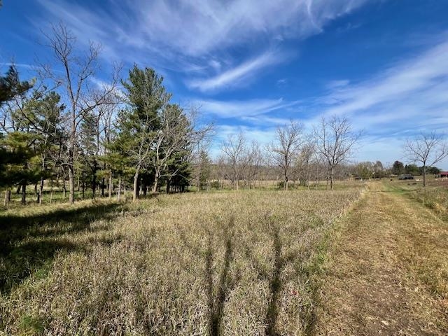 Lot 9 Highway 39 Blanchardville Wi 53574 New Glarus, WI 53574 - Photo 7 of 16