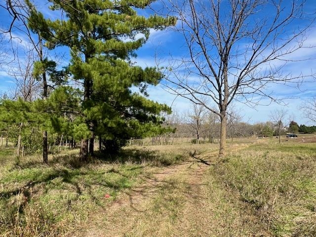 Lot 9 Highway 39 Blanchardville Wi 53574 New Glarus, WI 53574 - Photo 8 of 16