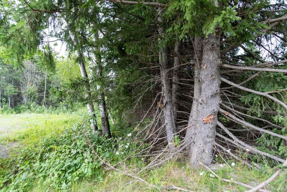 20220803005243852098000000-o