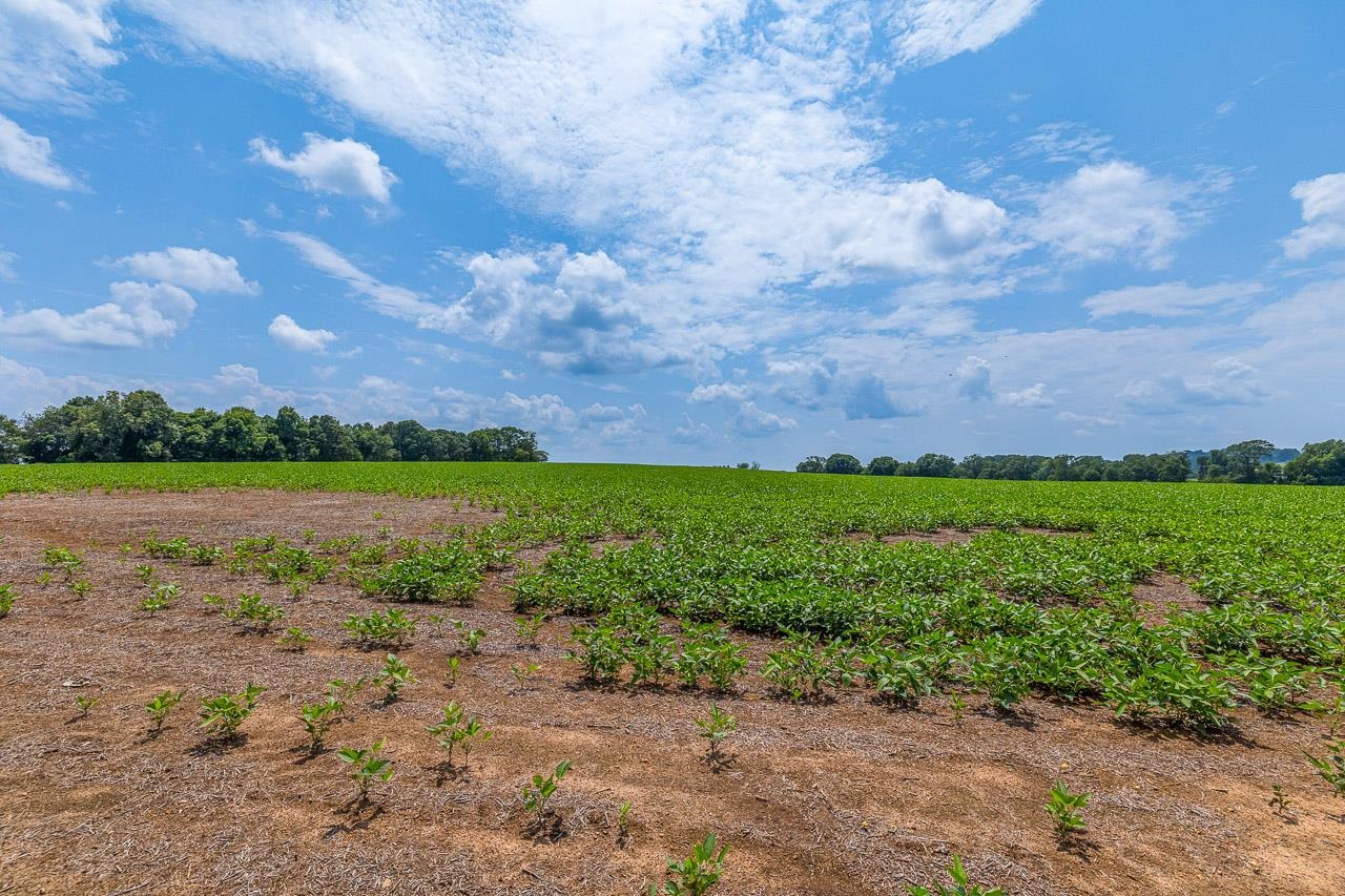 0 New Cut Road Wellford, SC 29385 - Photo 28 of 28 Gallery Image 28