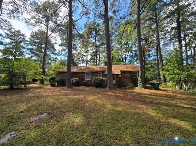 a tall tree in middle of the forest
