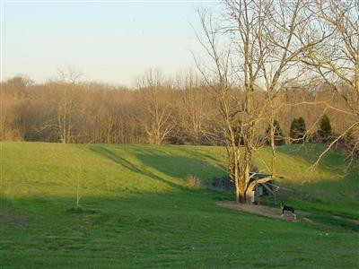 416 Mulligan Road Dry Ridge, KY 41035 - Photo 3 of 6