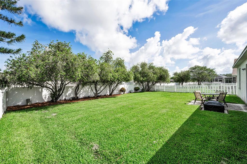 1821 Alvara Place Trinity, FL 34655 - Photo 34 of 63
