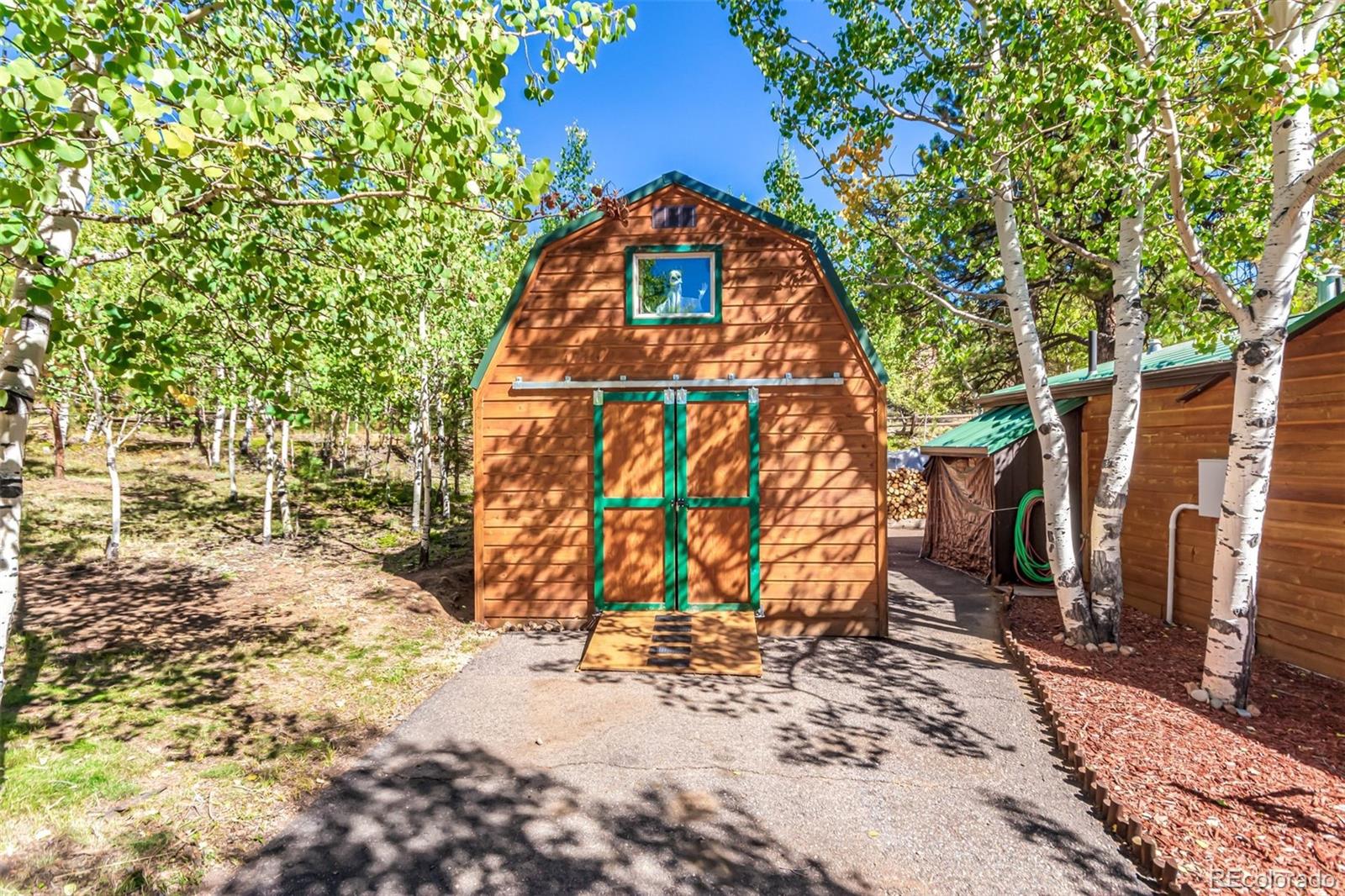 141 Schooley Road Bailey, CO 80421 - Photo 11 of 18 Gallery Image 11