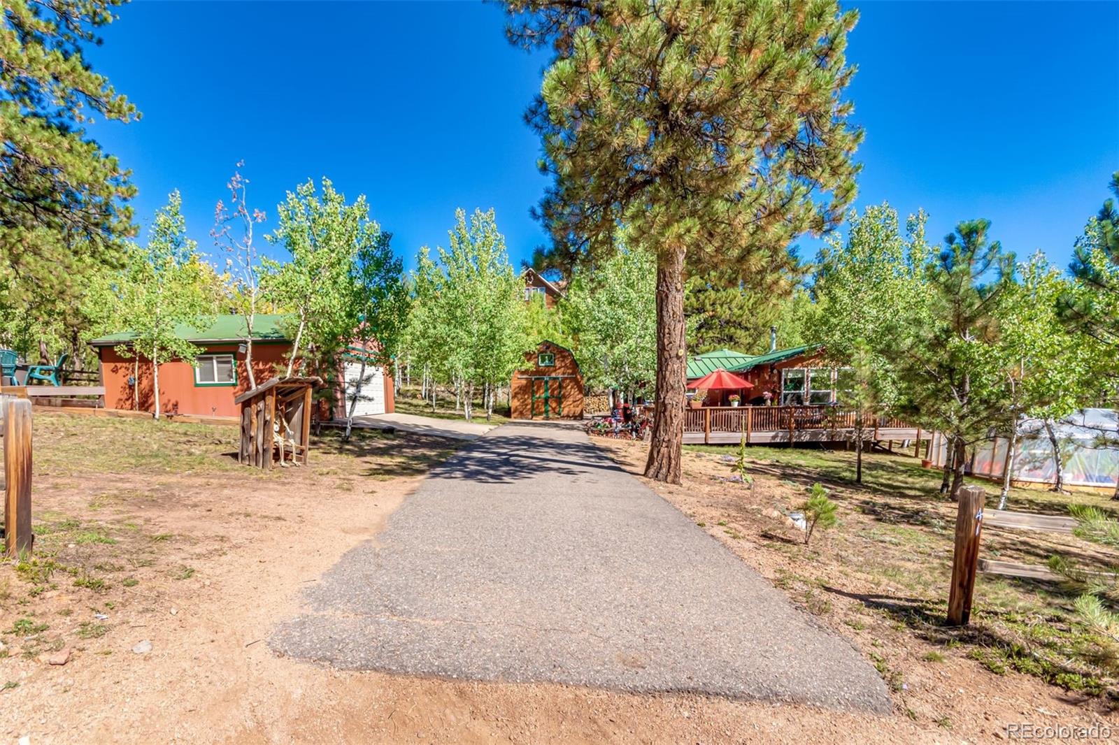 141 Schooley Road Bailey, CO 80421 - Photo 4 of 18 Gallery Image 4