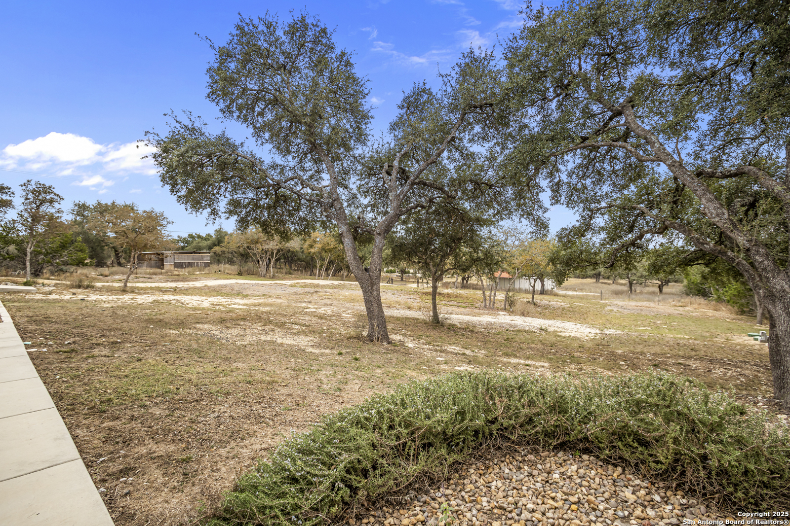 209 River Ridge Boerne, TX 78006 - Photo 44 of 60 a view of yard with trees