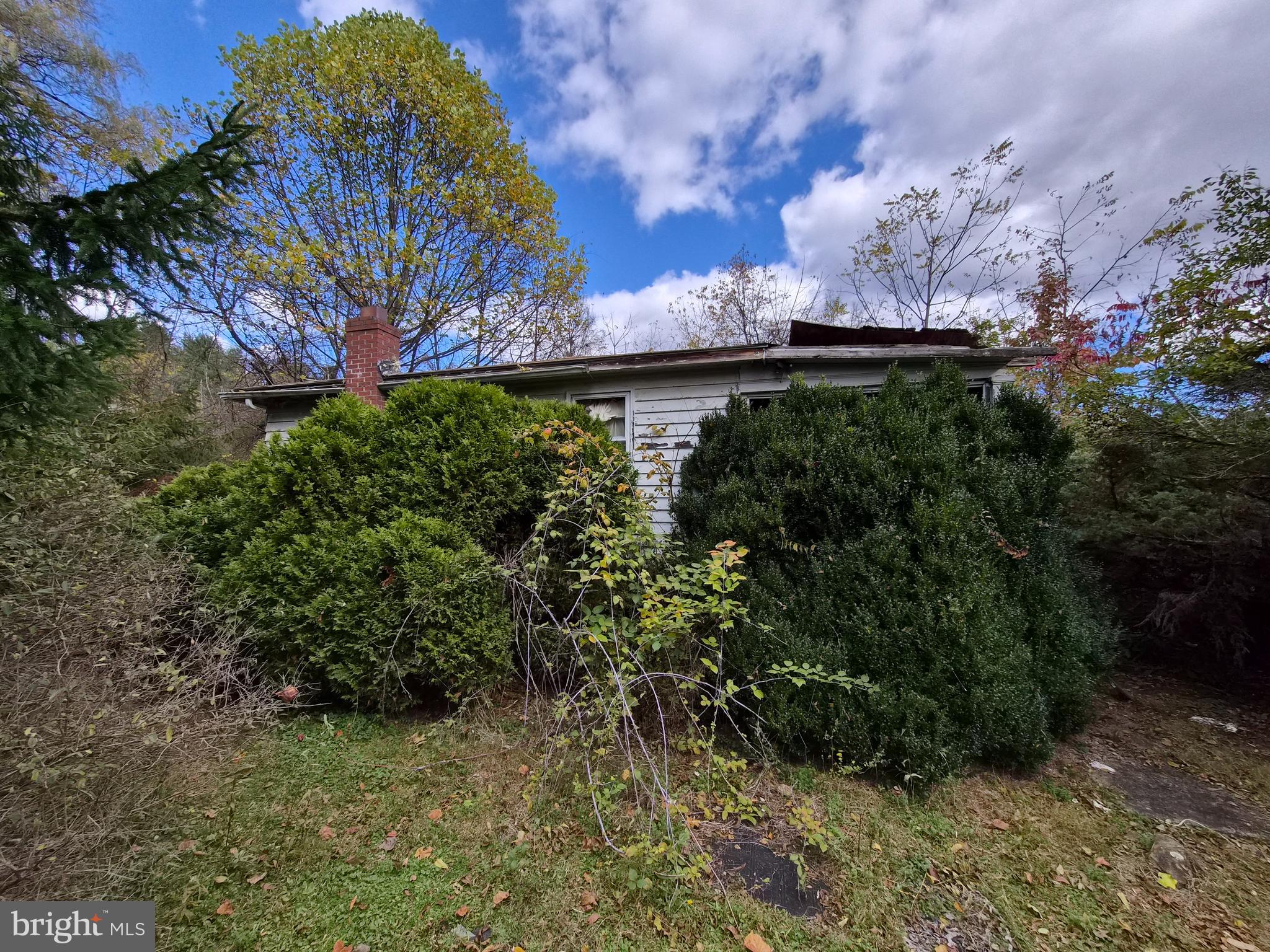 191 Spring Street Frostburg, MD 21532 - Photo 2 of 4 a view of a yard