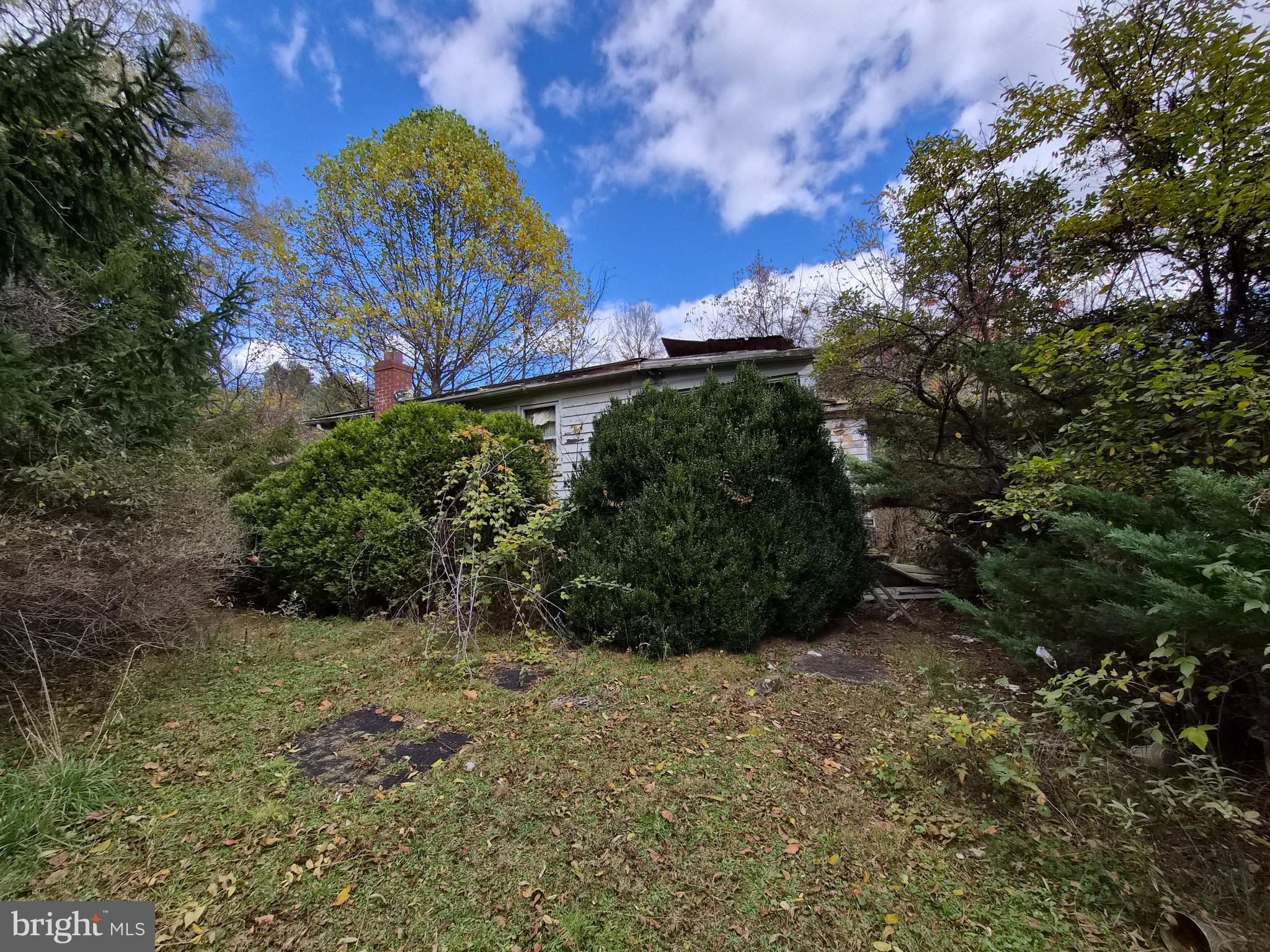 191 Spring Street Frostburg, MD 21532 - Photo 3 of 4 a view of a garden
