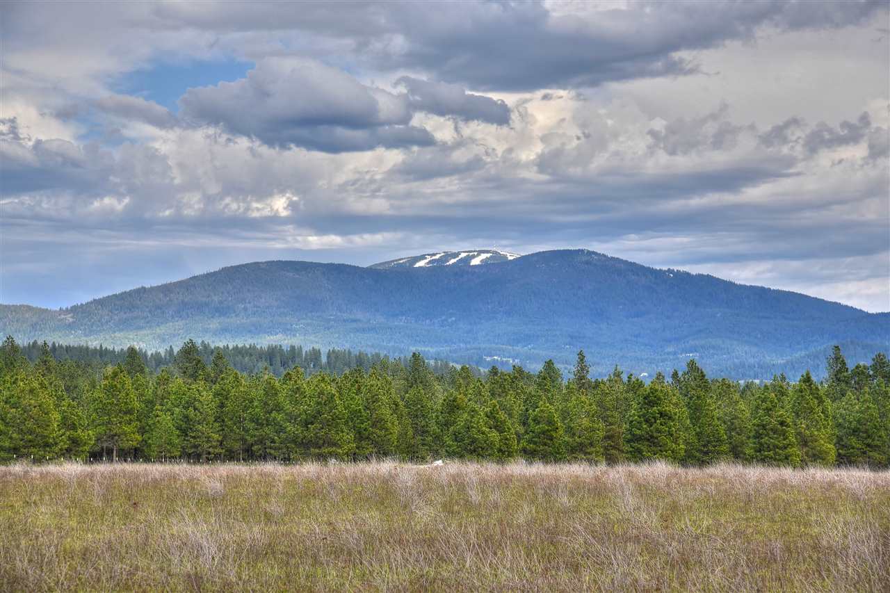 Lot 9 North Bruce Road Chattaroy, WA 99003 - Photo 3 of 14