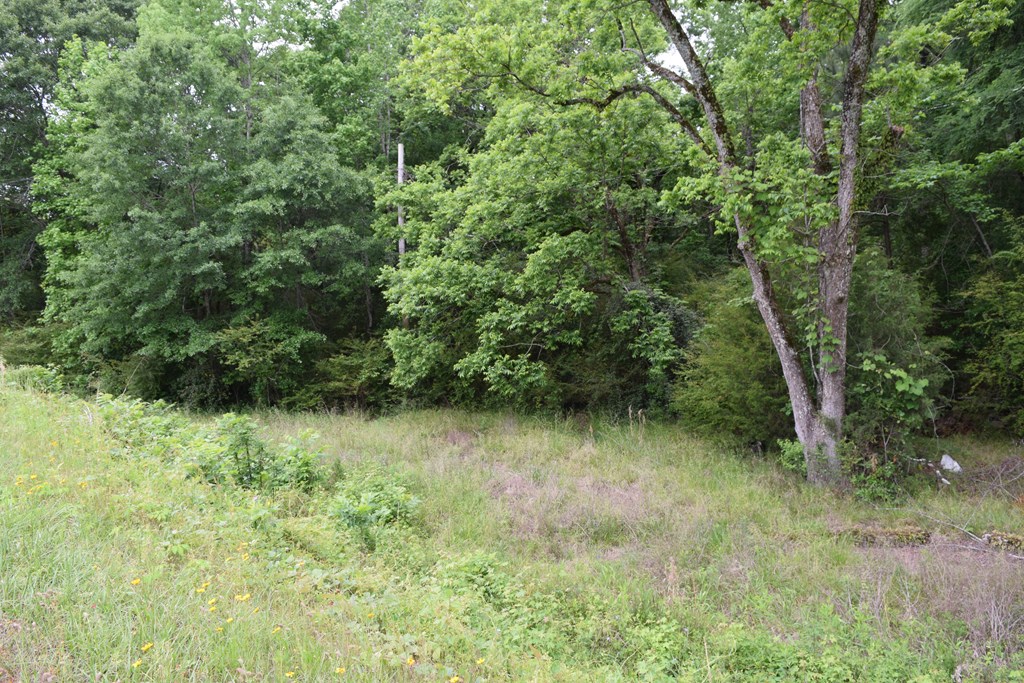 0 Harris Road Hamilton, GA 31811 - Photo 2 of 3 Gallery Image 2