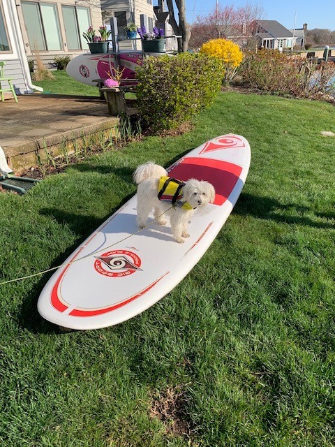 25 Barnacle Road Narragansett, RI 02882 - Photo 30 of 32