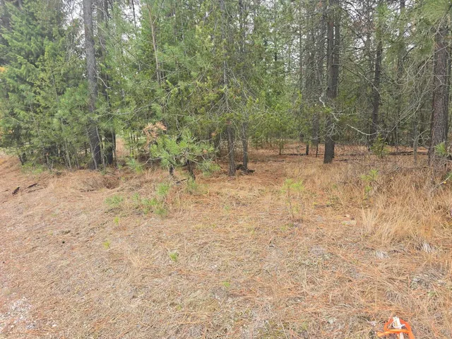 $60,000 | Xxx Lot 18 Xxx Court, Chewelah, WA 99109