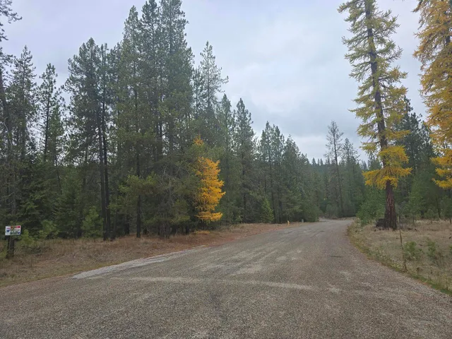 $60,000 | Xxx Lot 18 Xxx Court, Chewelah, WA 99109