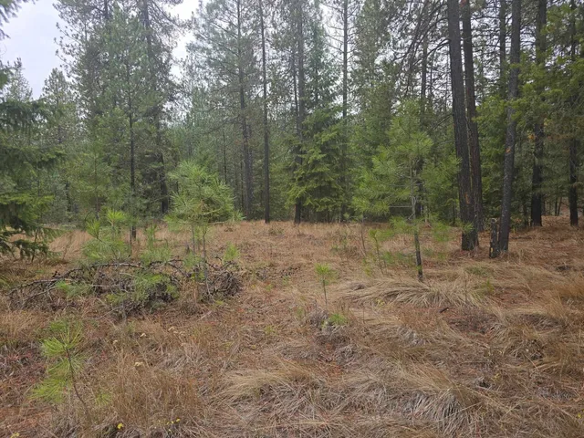 $60,000 | Xxx Lot 18 Xxx Court, Chewelah, WA 99109