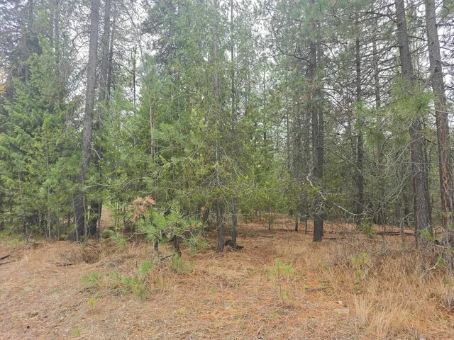 $60,000 | Xxx Lot 18 Xxx Court, Chewelah, WA 99109