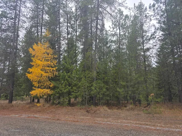 $60,000 | Xxx Lot 18 Xxx Court, Chewelah, WA 99109