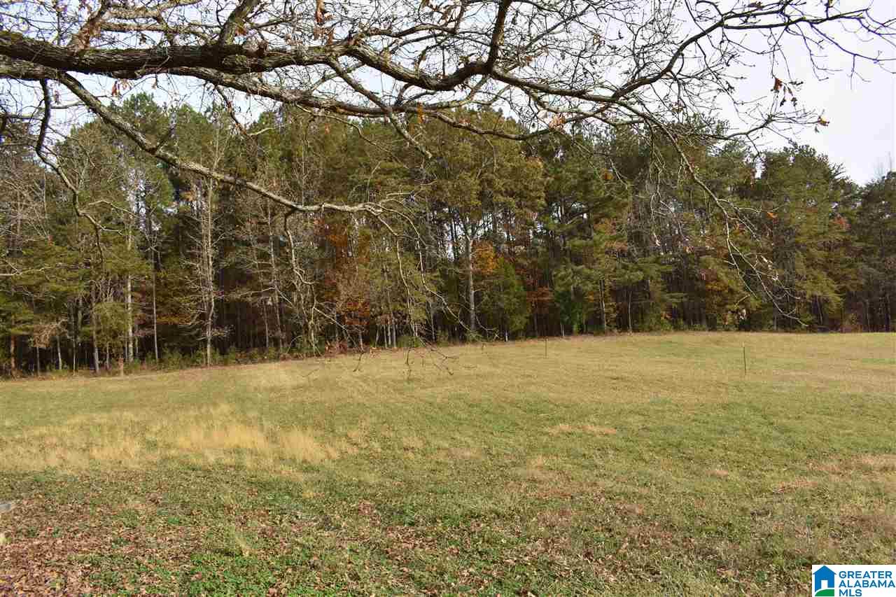 Poplar Loop, Unit 2 Calera, AL 35040 - Photo 14 of 18