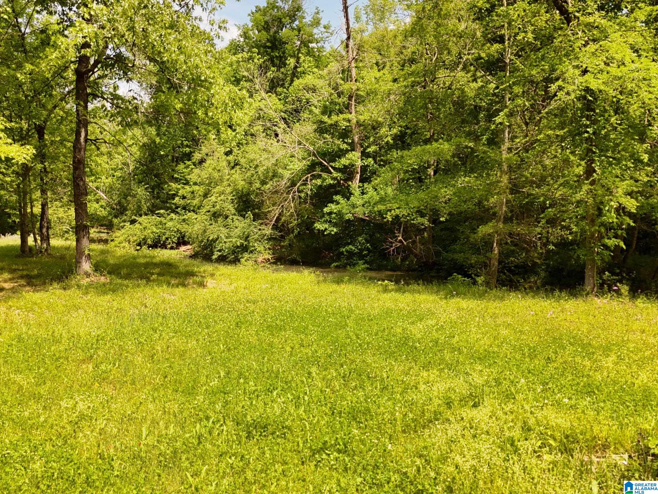1336 Estes Road Piedmont, AL 36272 - Photo 16 of 50