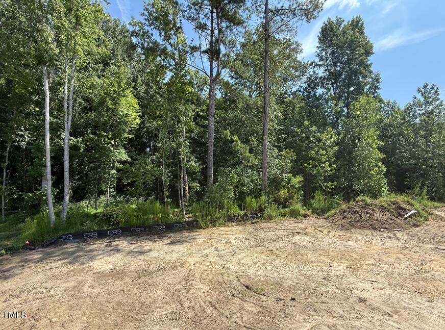 345 Adams Pointe Court Angier, NC 27501 - Photo 33 of 35