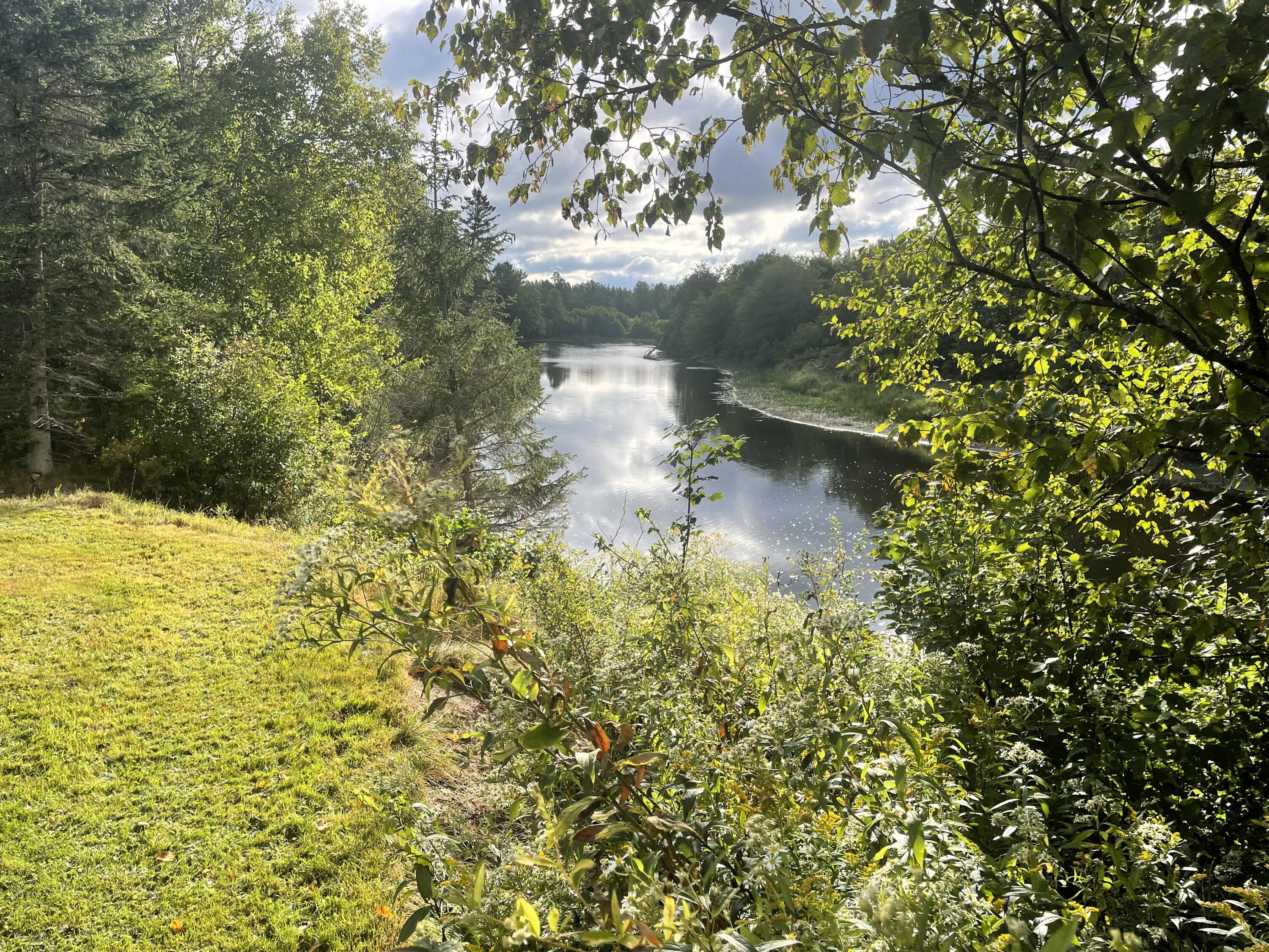 5 Heald Stream Road Jackman, ME 04945 - Photo 1 of 33 Moose River looking downstream
