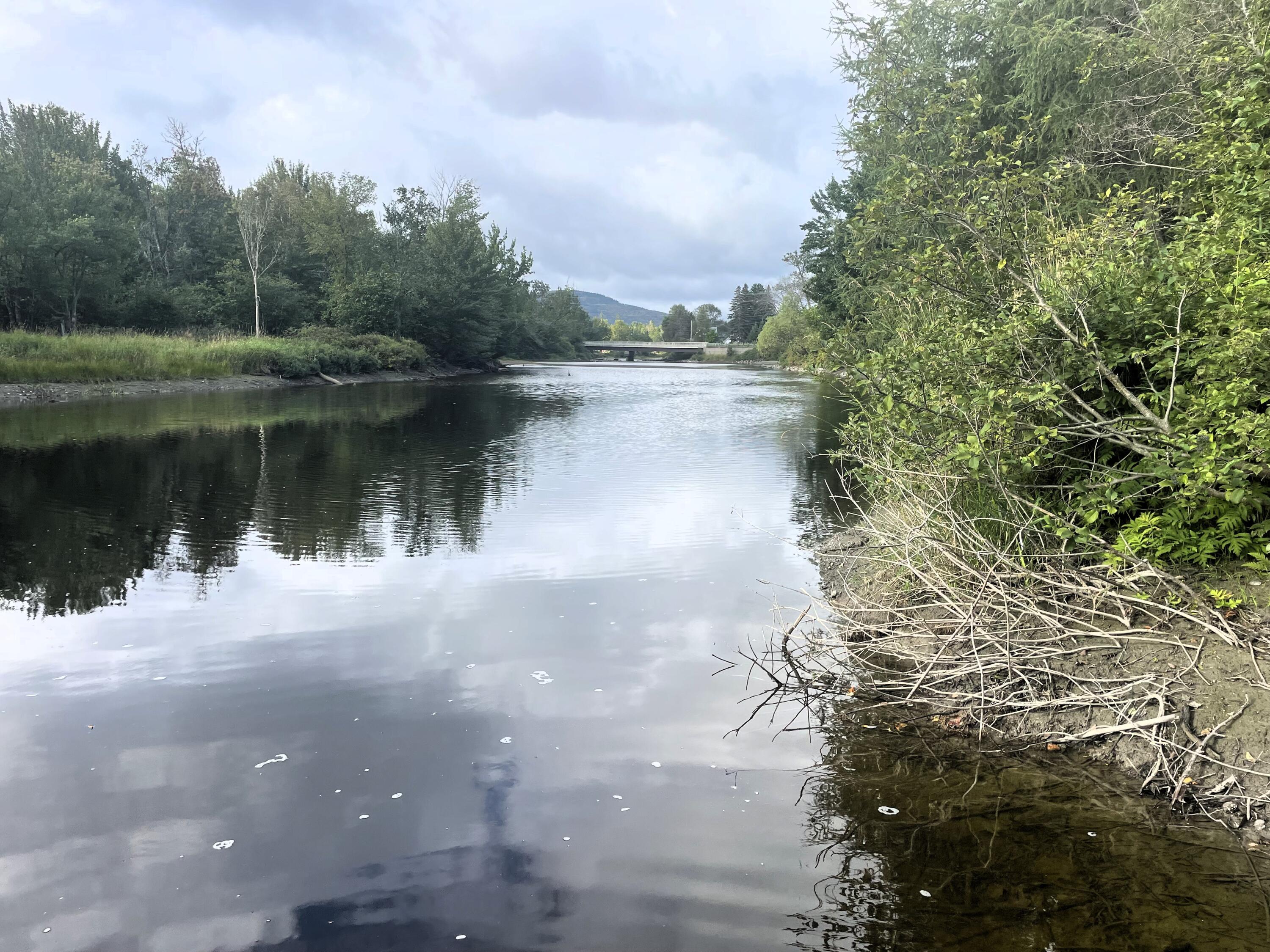 5 Heald Stream Road Jackman, ME 04945 - Photo 9 of 33 Moose River looking to Sally Mountain an