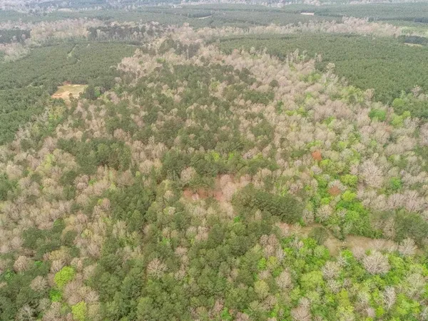 $985,000 | 845 Farm To Market Road 31, De Berry, TX 75639