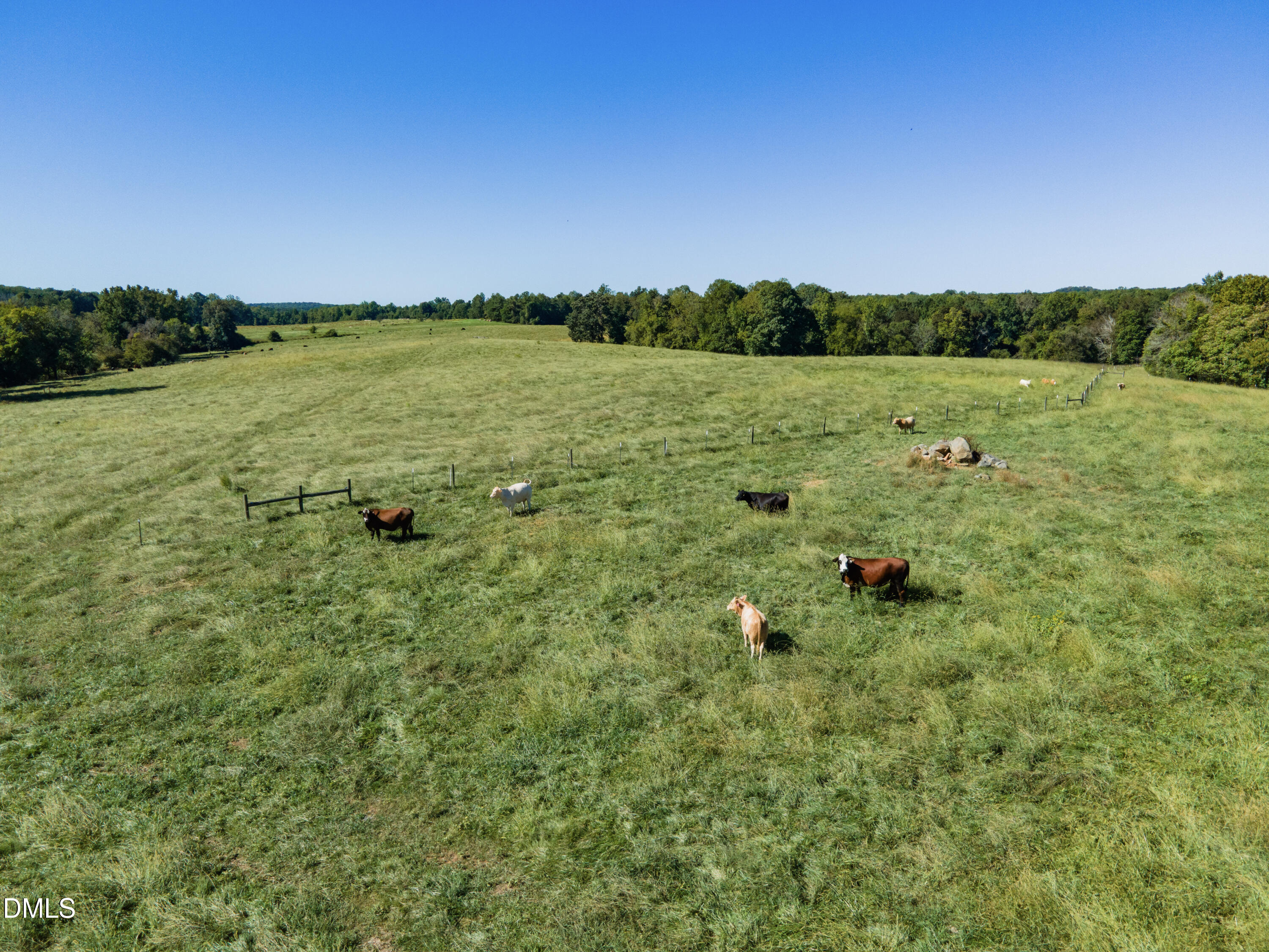 2475 Coleridge Road Siler City, NC 27344 - Photo 41 of 52 Smith Farm Chatham (42)