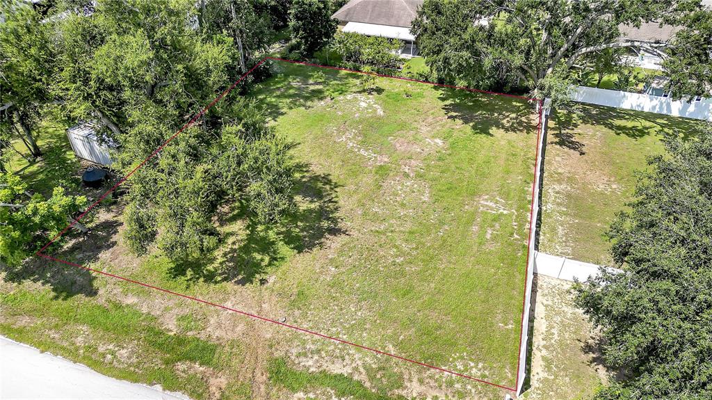 610 Simeon Road Oakland, FL 34787 - Photo 4 of 14