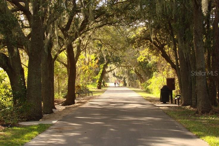 610 Simeon Road Oakland, FL 34787 - Photo 9 of 14