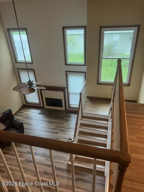 195 River Rd Circle Rockledge, FL 32955 - Photo 32 of 48 IMG_8491