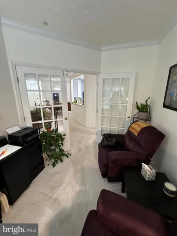 a living room with furniture flowerpot and wooden floor